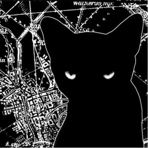 The Wilderness - III