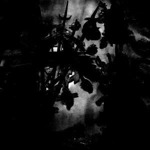 Zwaard - Bloed en Wijn